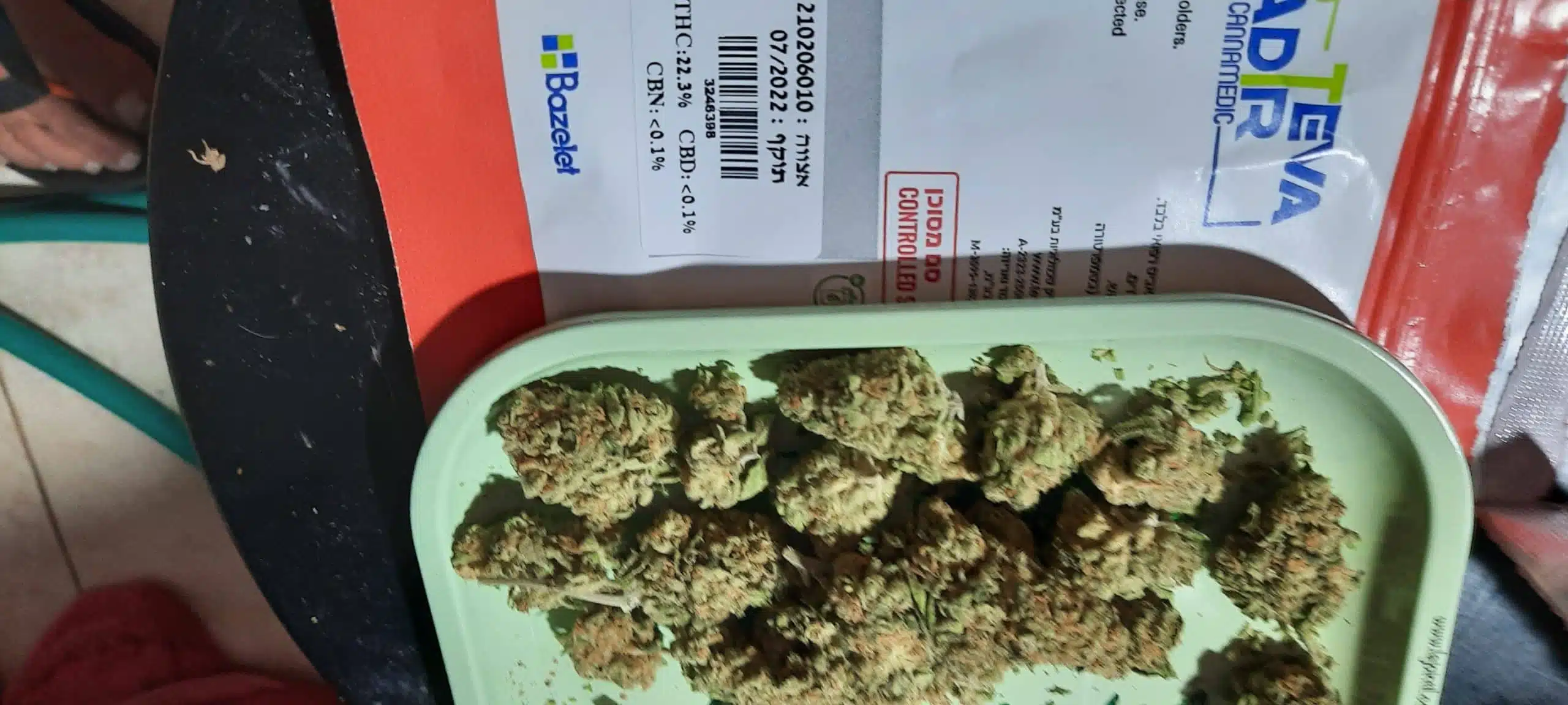 ⁦אמנזיה (Amnezia) - סאטיבה T20/C4⁩ – תמונה ⁦2⁩