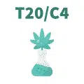 T20/C4