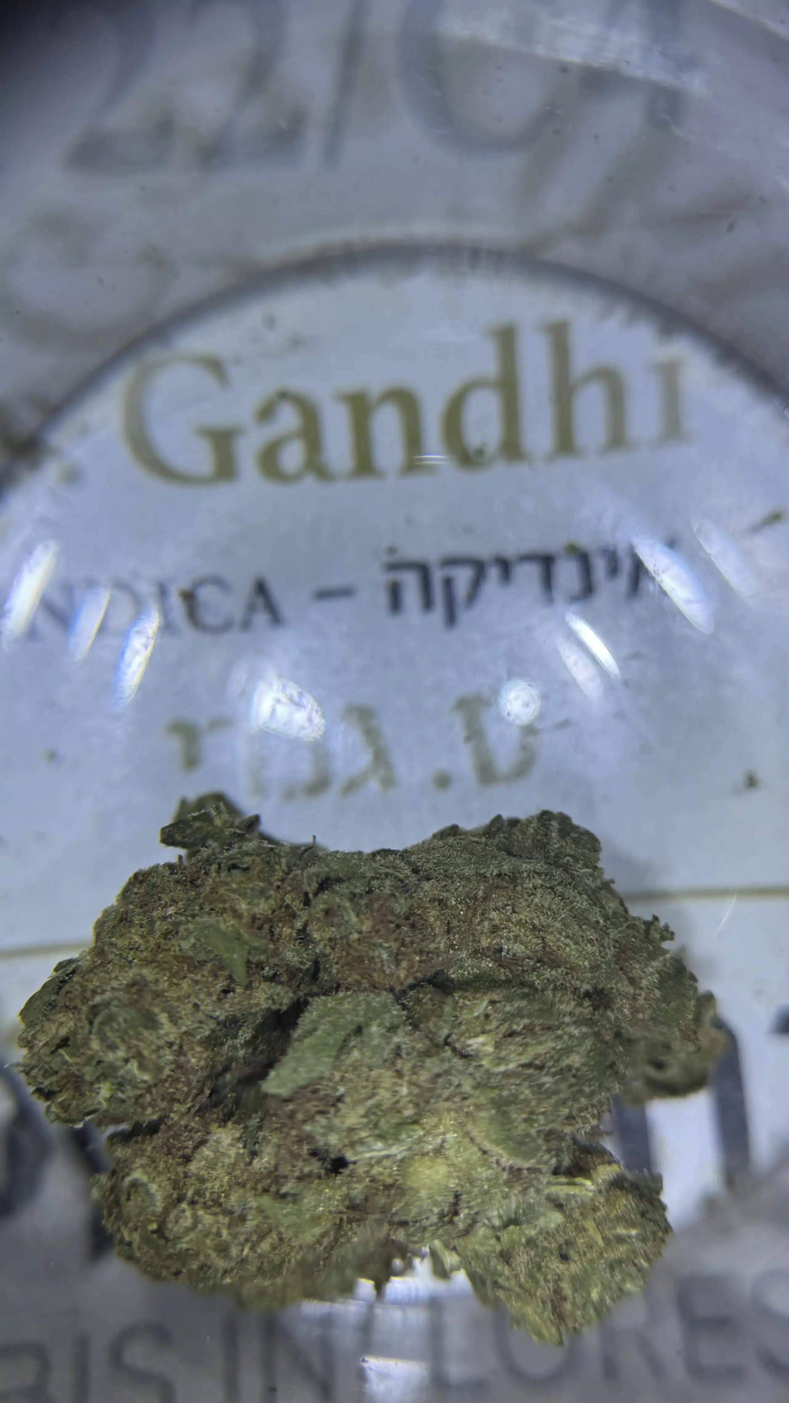 ס. גנדי (s. gandhi) אינדיקה t22/c4