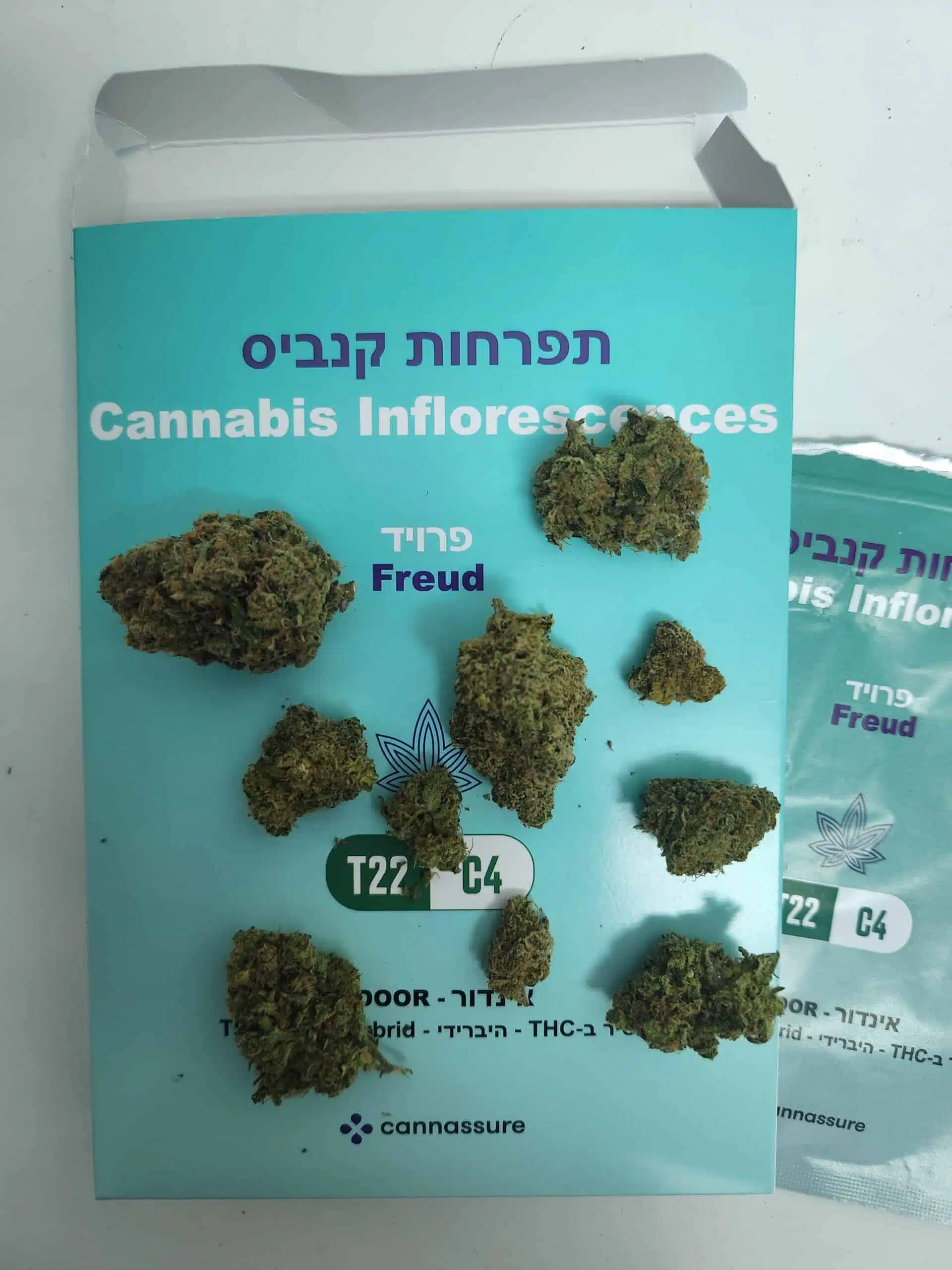 ⁦פרויד (Freud) - היבריד T22/C4⁩ – תמונה ⁦8⁩