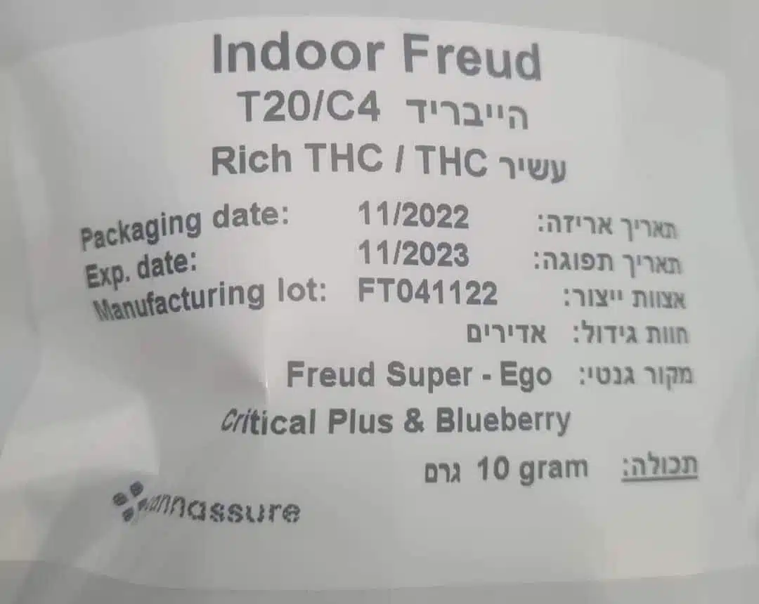 ⁦פרויד (Freud) - היבריד T22/C4⁩ – תמונה ⁦17⁩