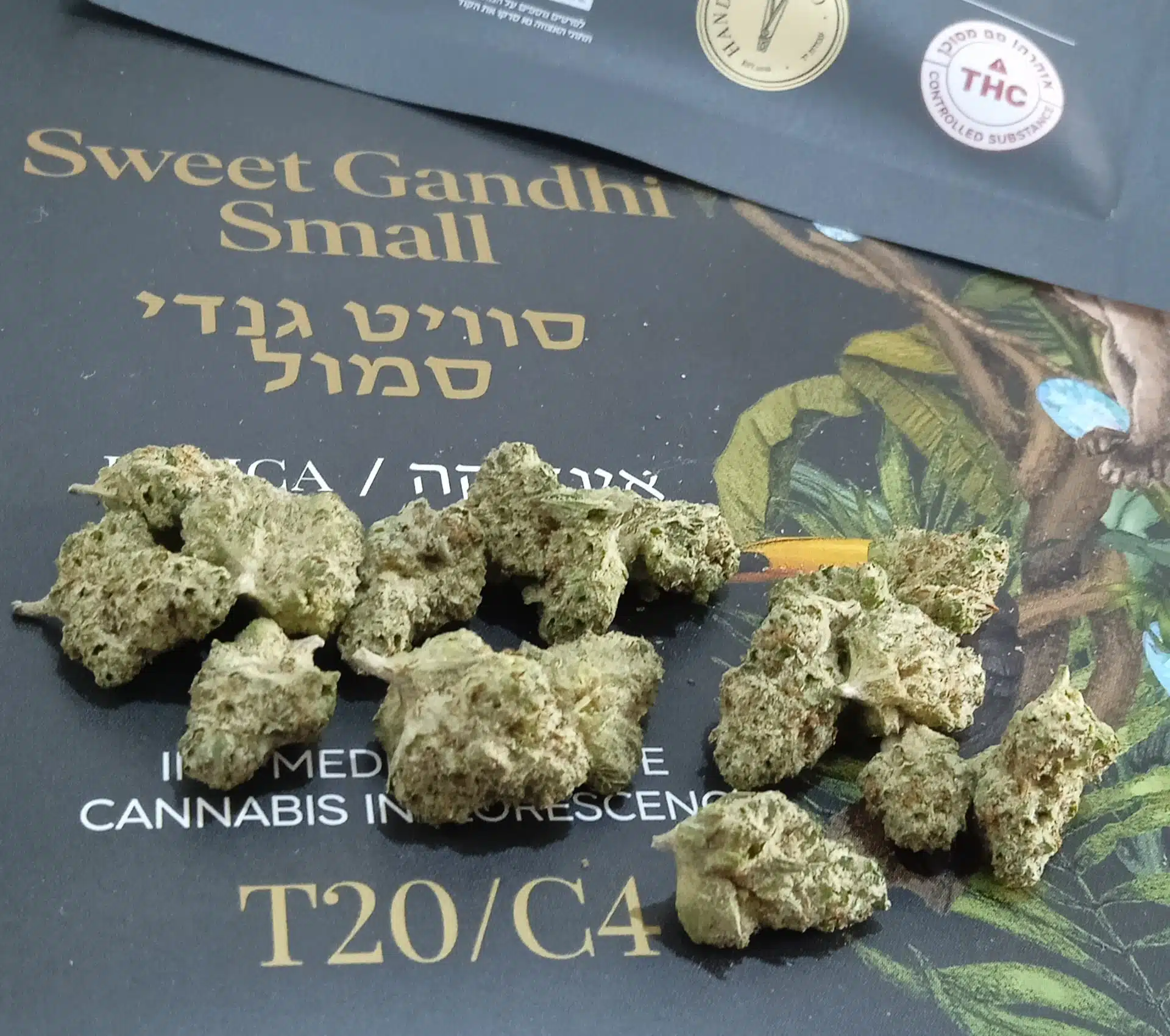 ⁦ס. גנדי סמול (S. Gandhi Small) - אינדיקה T22/C4⁩ – תמונה ⁦4⁩