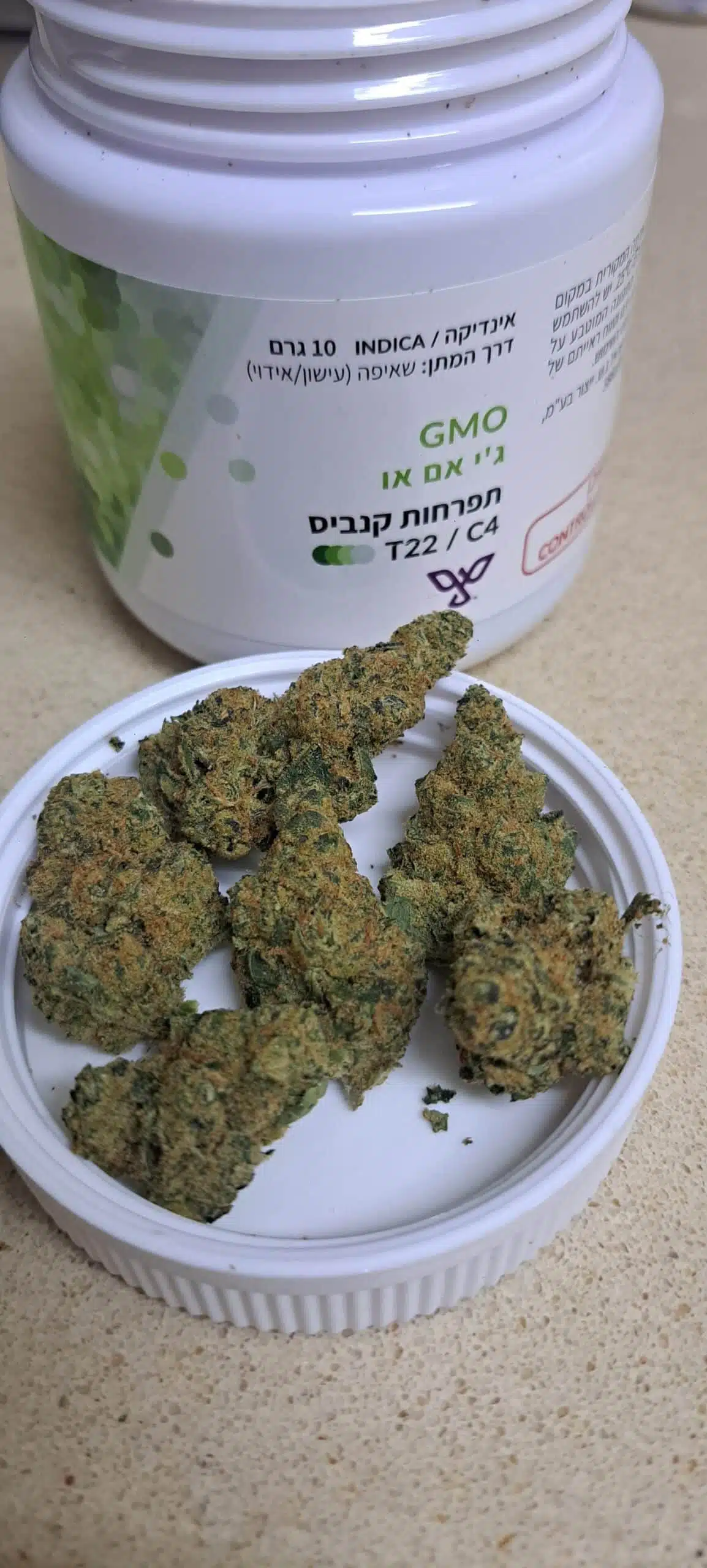 ⁦ג'י אם או (GMO) - אינדיקה T22/C4⁩ – תמונה ⁦12⁩