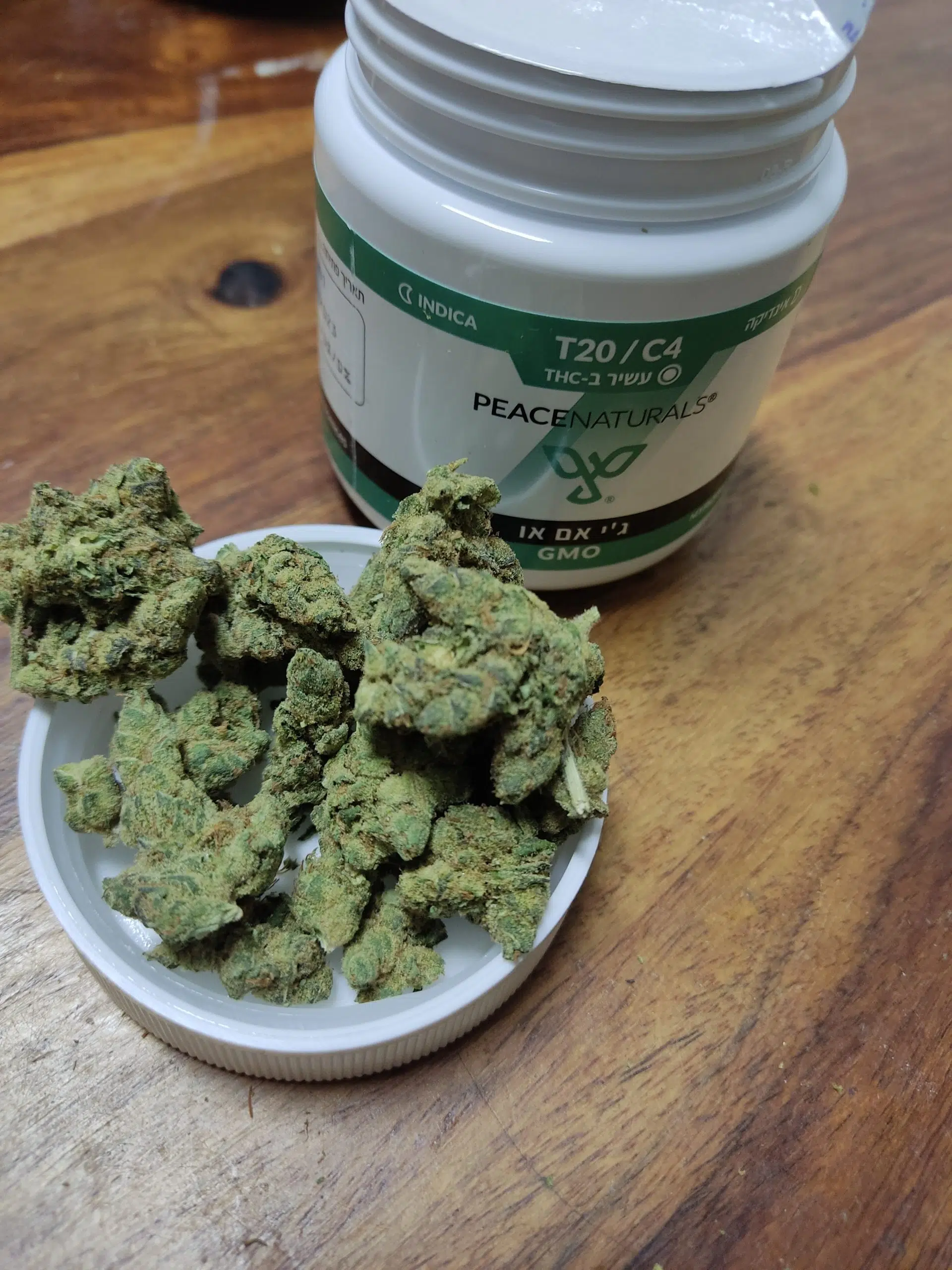 ⁦ג'י אם או (GMO) - אינדיקה T22/C4⁩ – תמונה ⁦37⁩