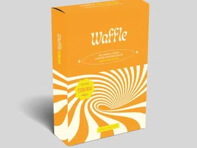 אריזת וואפל (Waffle) - אינדיקה T20/C4