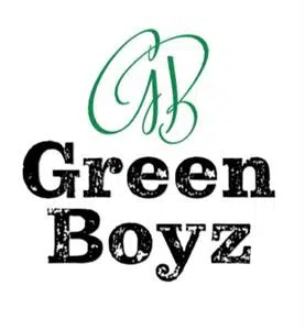 גרין-בויז Green Boyz