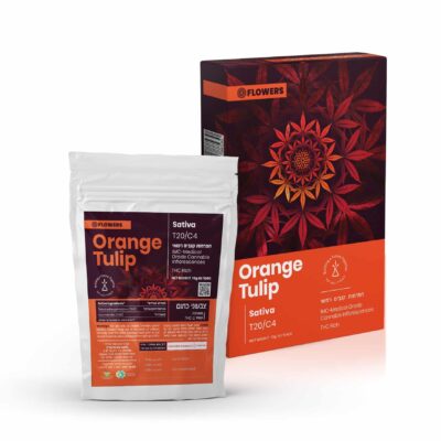 אריזת צבעוני כתום (Orange Tulip) - סאטיבה T20/C4