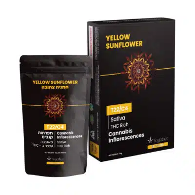 ילו סאנפלאוור (yellow sunflower) סאטיבה t22/c4