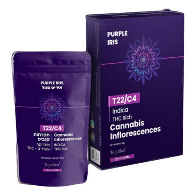 פרפל אייריס (purple iris) אינדיקה t22/c4