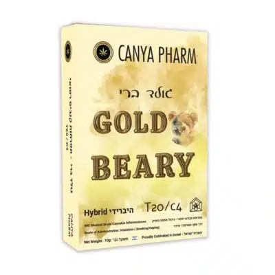 גולד ברי (gold beary) היבריד t20/c4
