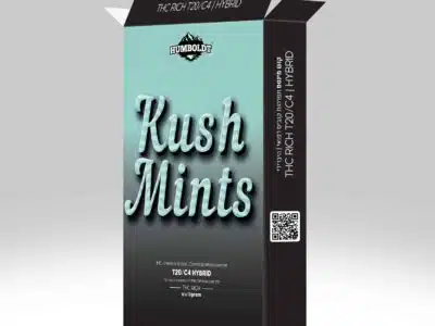 אריזת קוש מינטס (Kush Mints) - היבריד T20/C4