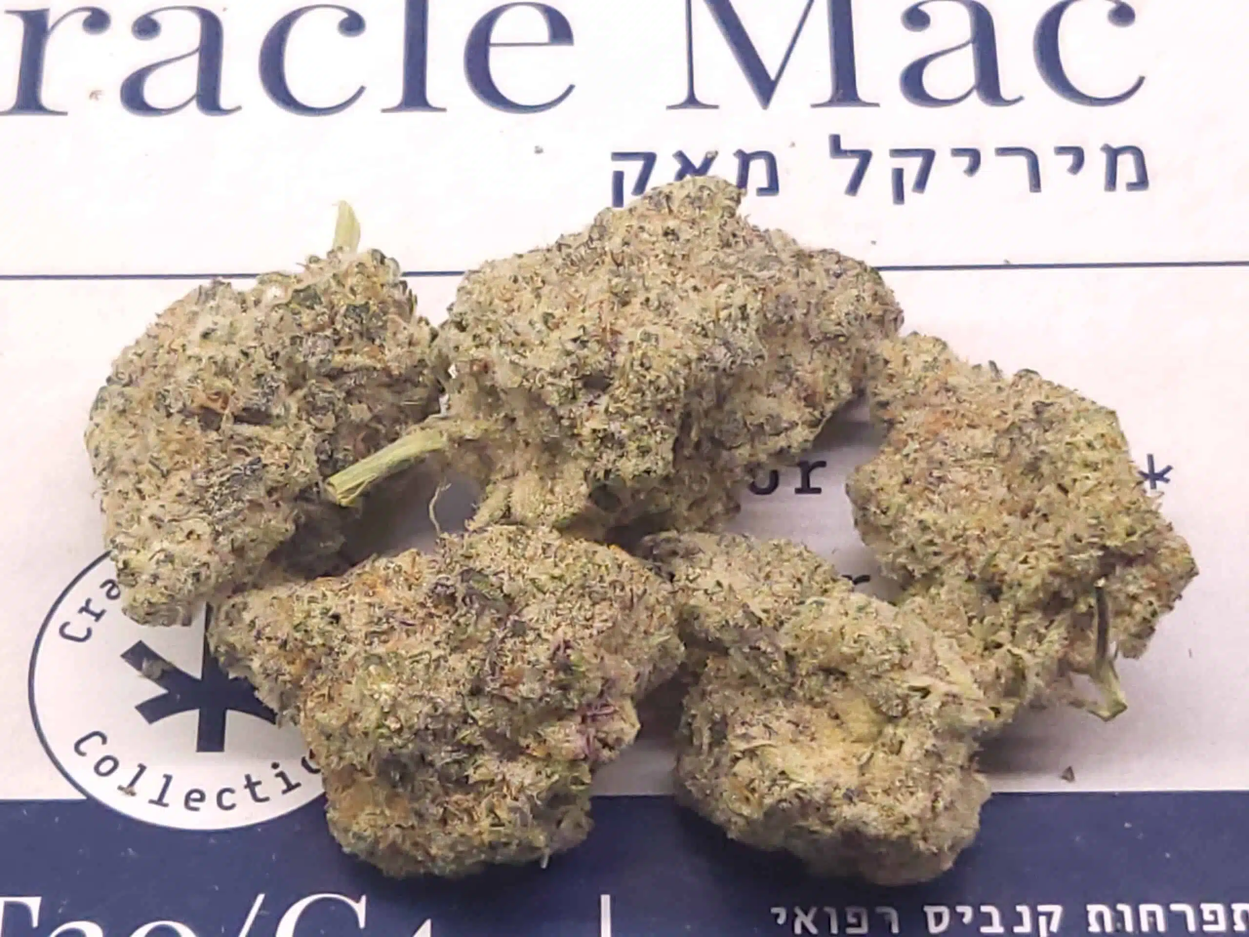 ⁦אמ.מאק (M.Mac) - היבריד T22/C4⁩ – תמונה ⁦17⁩