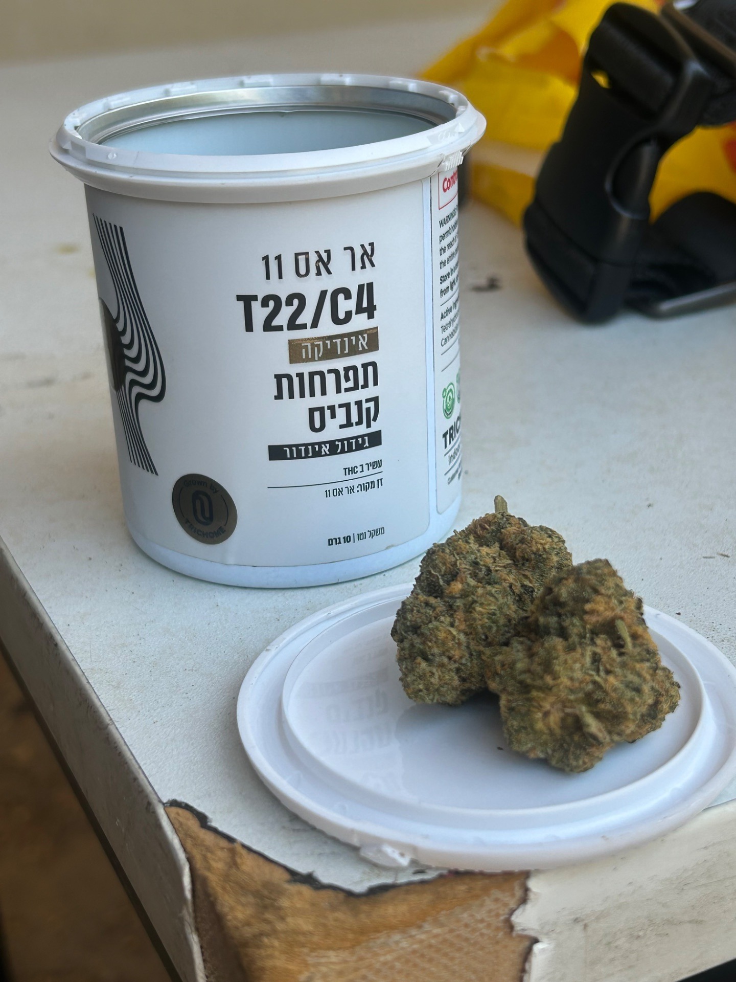 אר אס 11 (rs11) אינדיקה t22/c4