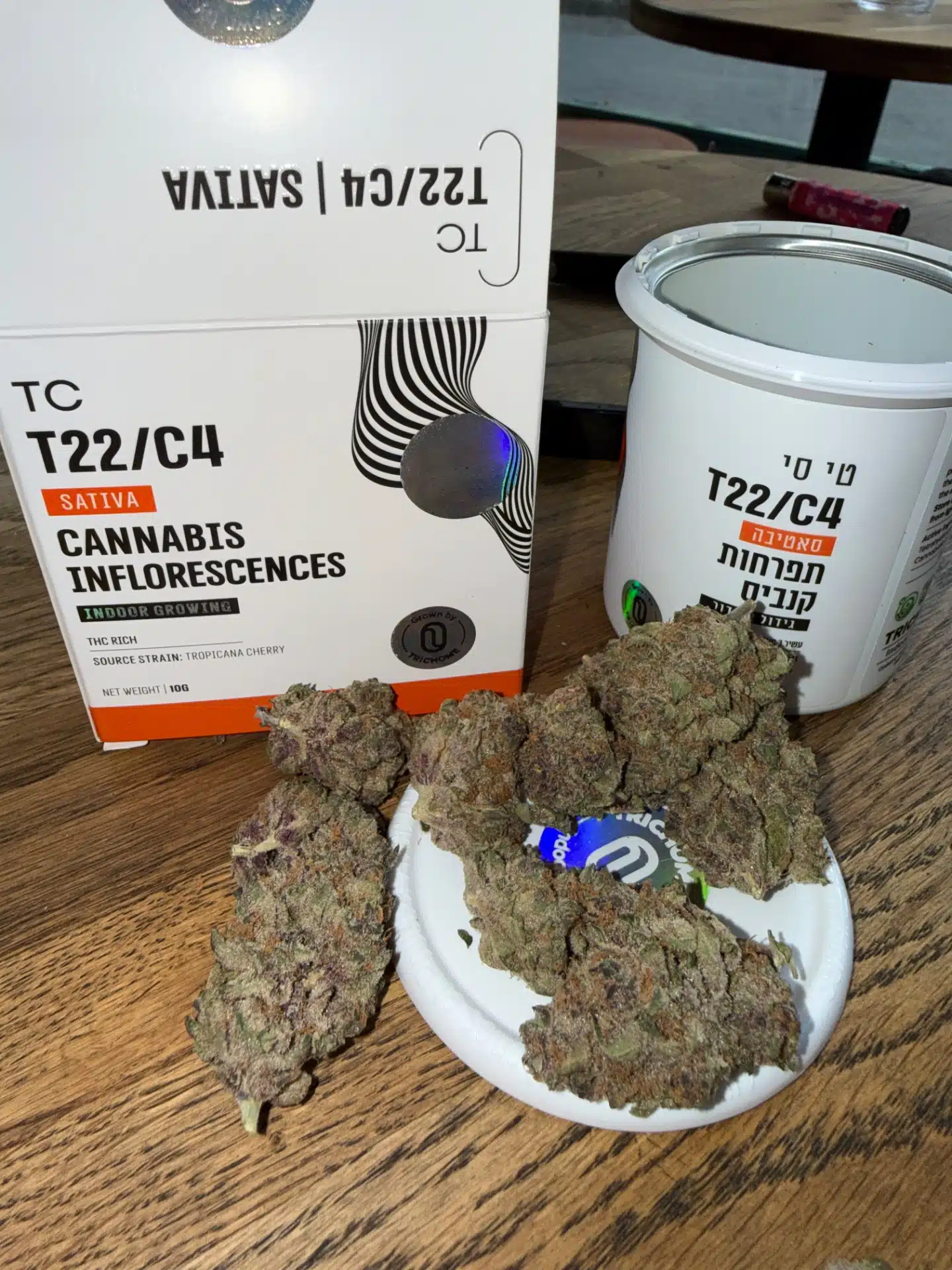 טי סי (tc) סאטיבה t22/c4