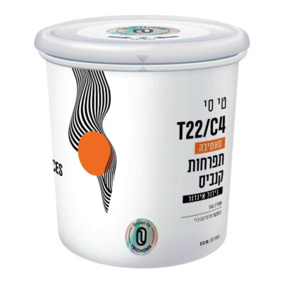 טי סי (tc) סאטיבה t22/c4