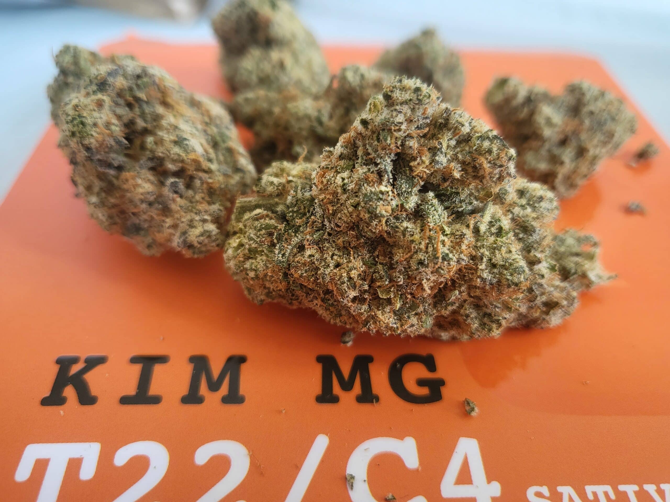 קים אם.ג'י (Kim MG) - סאטיבה T22/C4 – תמונה 3