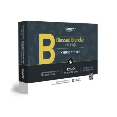 בלסד בלונדי (Blessed Blondie) - היבריד T20/C4