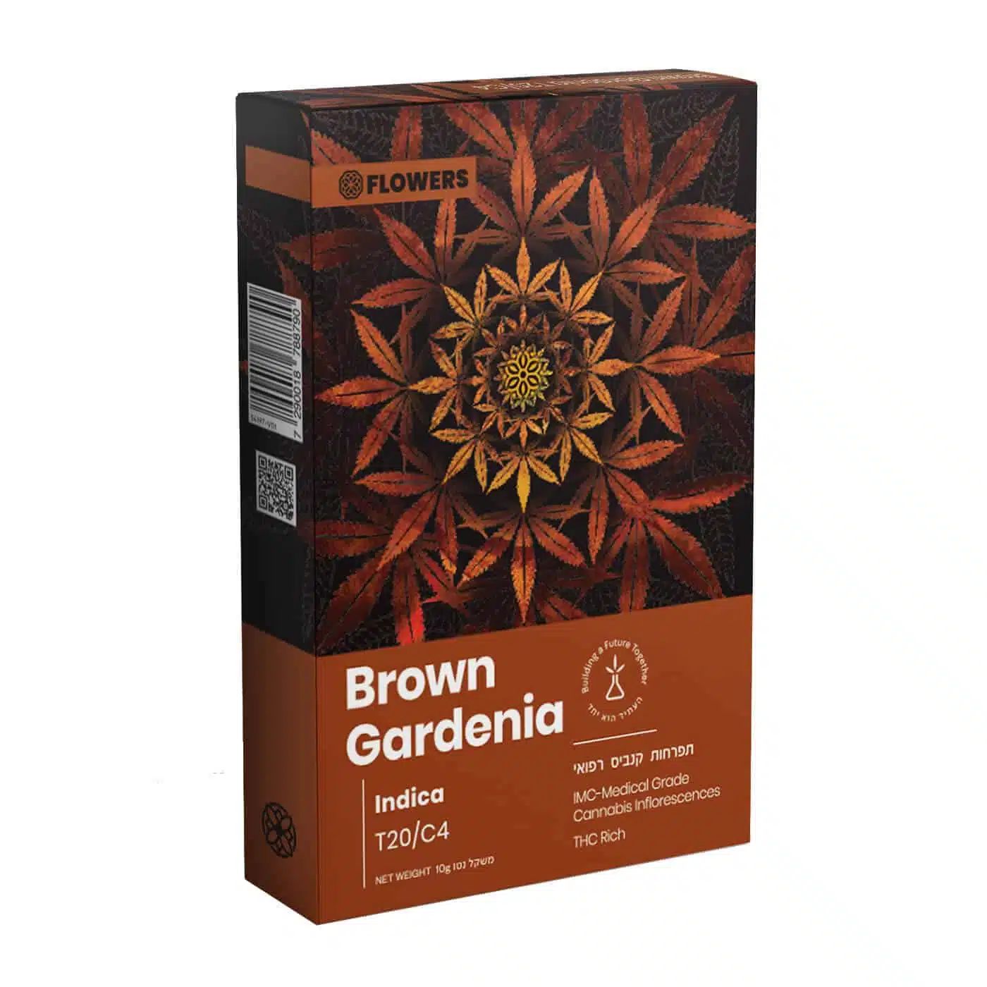 בראון גרדניה חומה (Brown Gardenia) - אינדיקה T20/C4