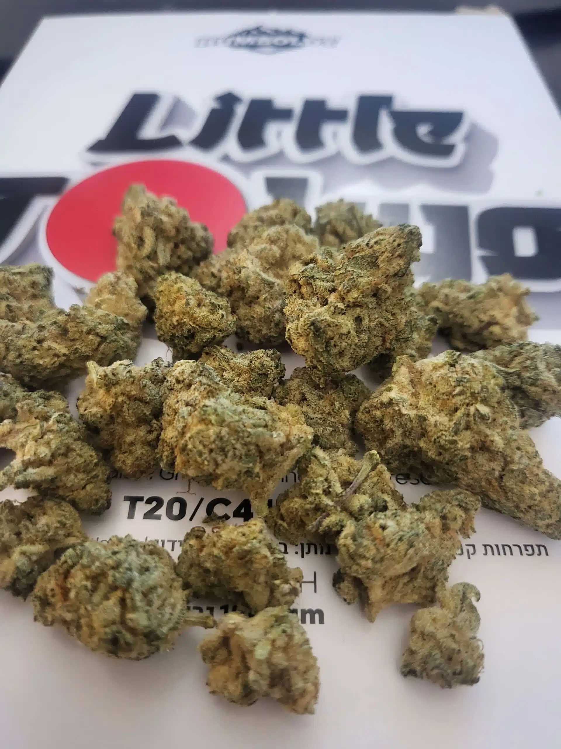 ⁦ליטל טוקיו (Little Tokyo) - אינדיקה T20/C4⁩ – תמונה ⁦3⁩