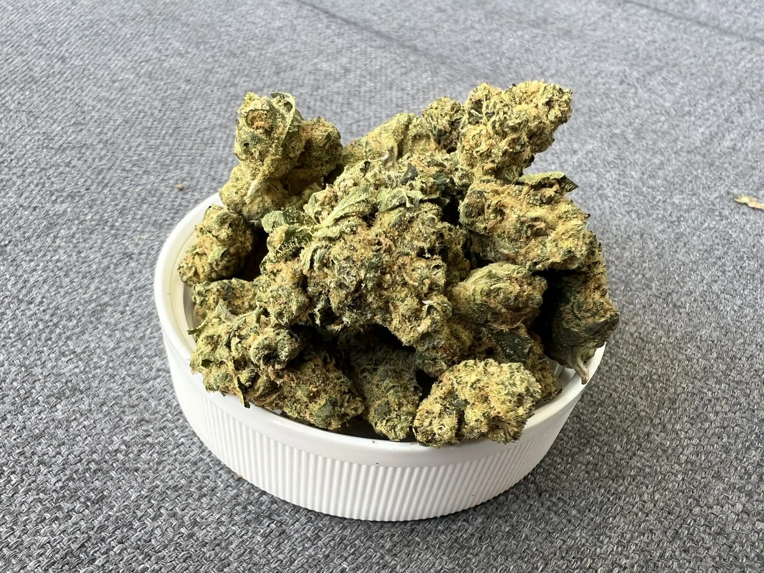 ⁦ספייס סי קיי (Space CK) - היבריד T22/C4⁩ – תמונה ⁦4⁩