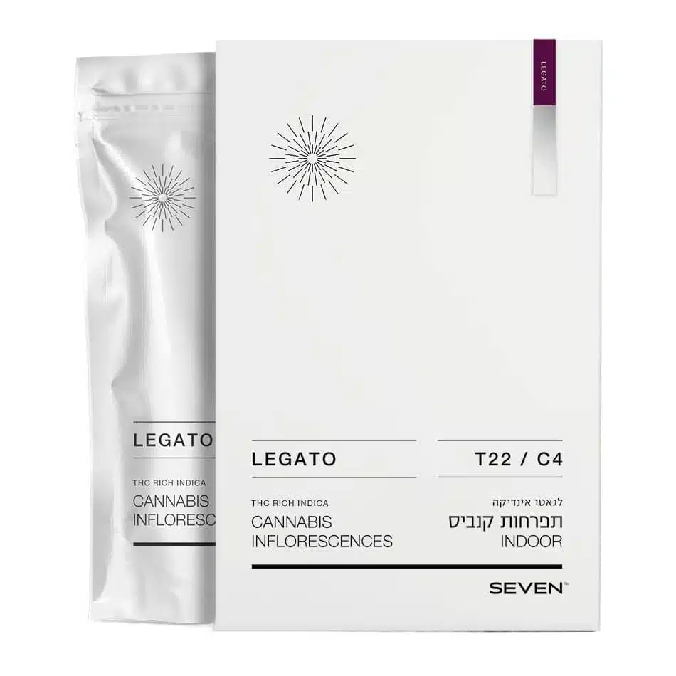 לגאטו (legato) אינדיקה t22/c4