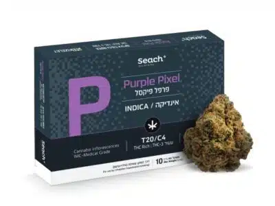 פרפל פיקסל (Purple Pixel) - אינדיקה T20/C4