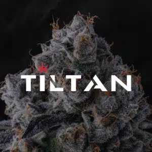 בית מרקחת תלתן (Tiltan Pharmacy)