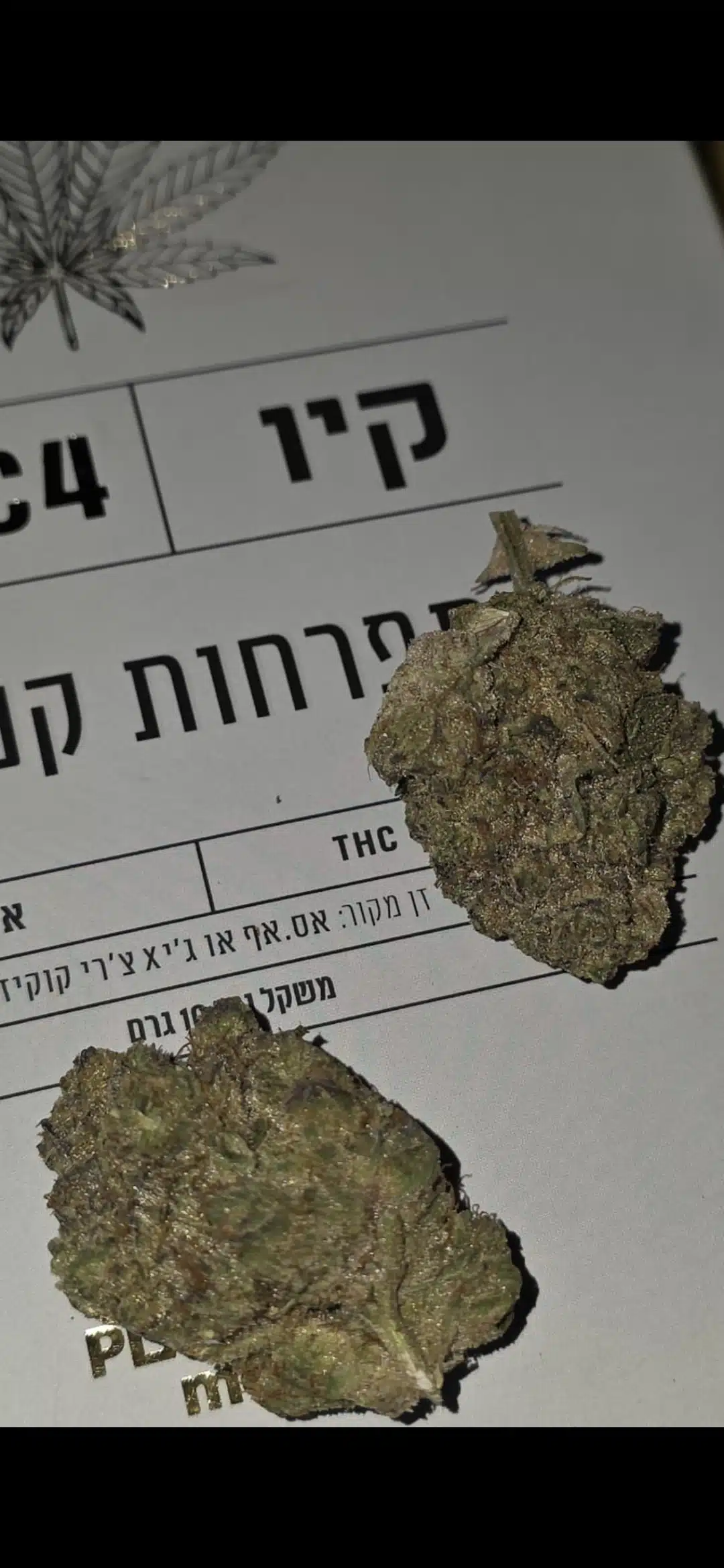 קיו (q) אינדיקה t22/c4
