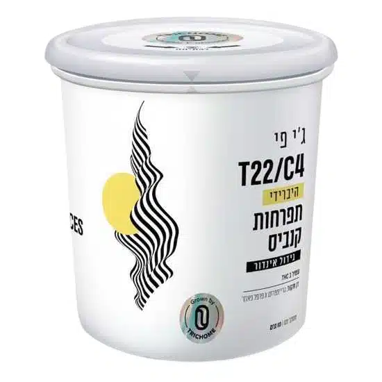 ג'י פי (gp) היבריד t22/c4
