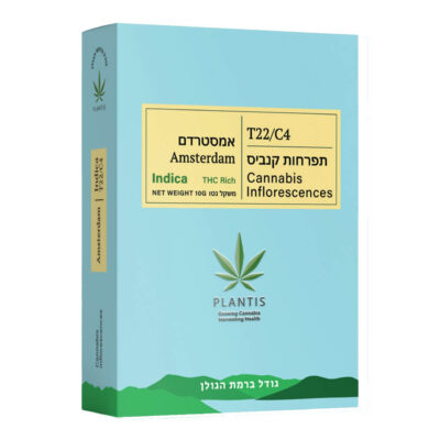אמסטרדם (amsterdam) אינדיקה t22/c4