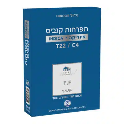 אף.אף (f.f) אינדיקה t22/c4