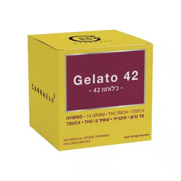 ג'לאטו 42 (gelato 42) היבריד t20/c4