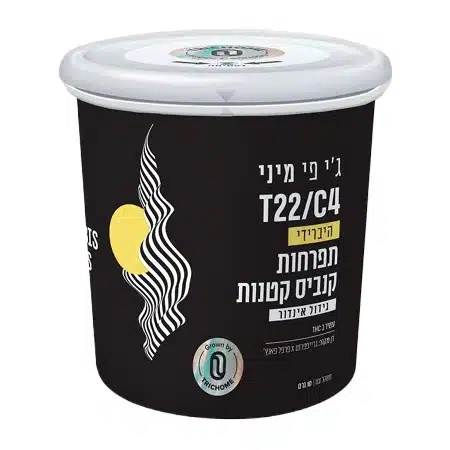 ג'י פי מיני (gp mini) היבריד t22/c4