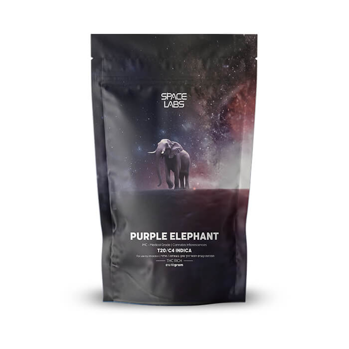 פרפל אלפנט (Purple Elephant) - אינדיקה T20/C4