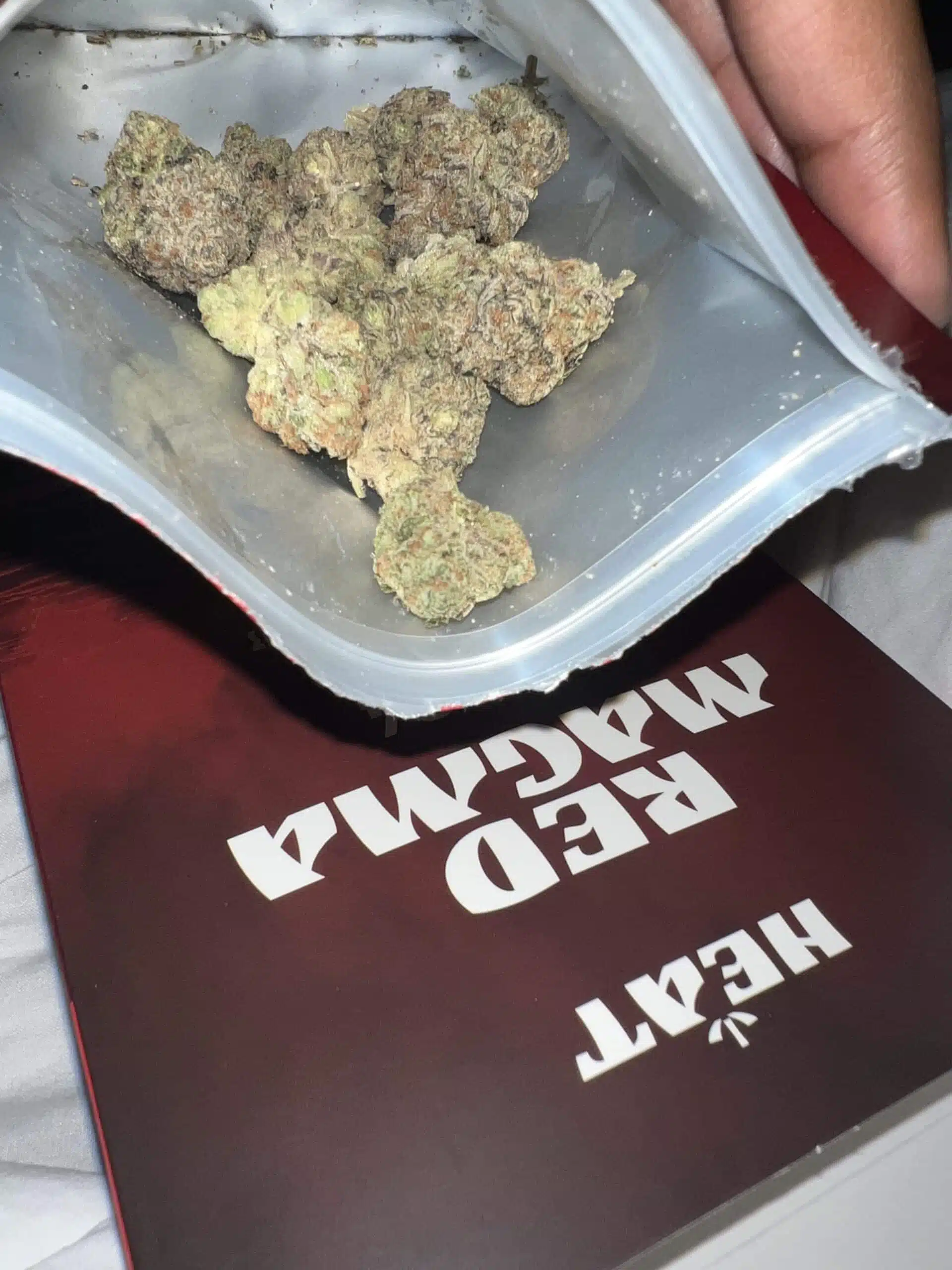 ⁦רד מגמה (Red Magma) - היבריד T22/C4⁩ – תמונה ⁦3⁩
