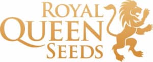 רויאל קווין סידס (Royal Queen Seeds)