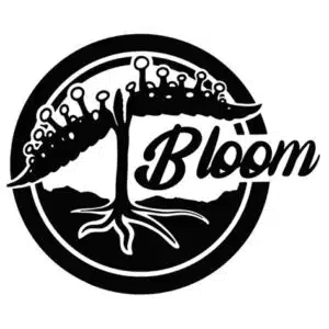 בלום סיד (Bloom Seed Co)