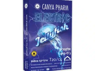 אלקטריק ג'לי פיש (electric jellyfish) אינדיקה t20/c4