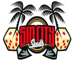 סין סיטי סידס (Sin CIty Seeds)