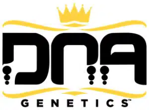 די.אן.איי ג'נטיקס (DNA Genetics)