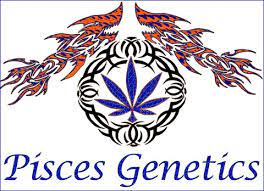 פייסיס ג'נטיקס (Pisces Genetics)