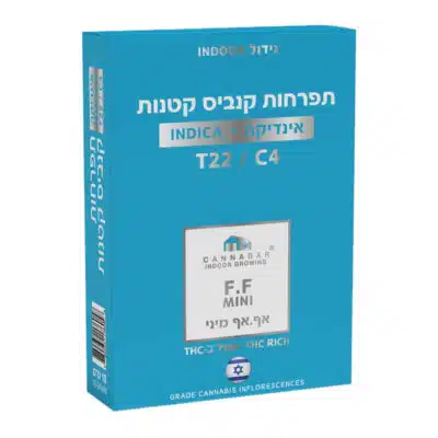 אף.אף מיני (f.f mini) אינדיקה t22/c4