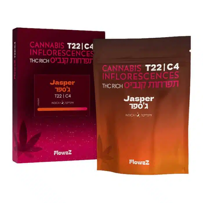 ג'ספר (jasper) אינדיקה t22/c4