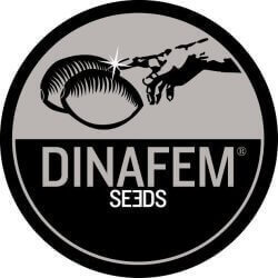 דינאפם (Dinafem Seeds)