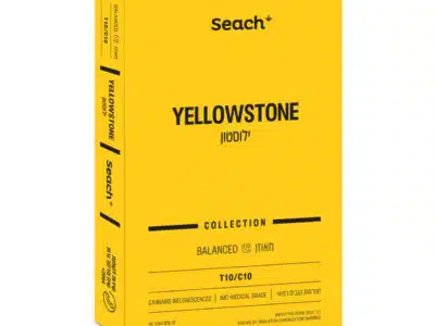 ילוסטון (yellowstone) היבריד t10/c10
