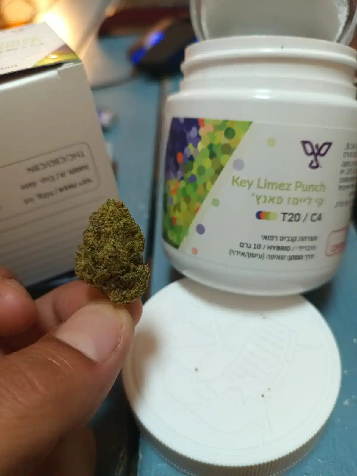⁦קי ליימז פאנץ' (Key Limez Punch) - סאטיבה T22/C4⁩ – תמונה ⁦13⁩