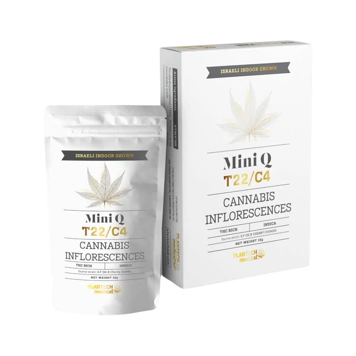 מיני קיו (Mini Q) - אינדיקה T22/C4
