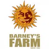 ברניס פארם (Barneys Farm)