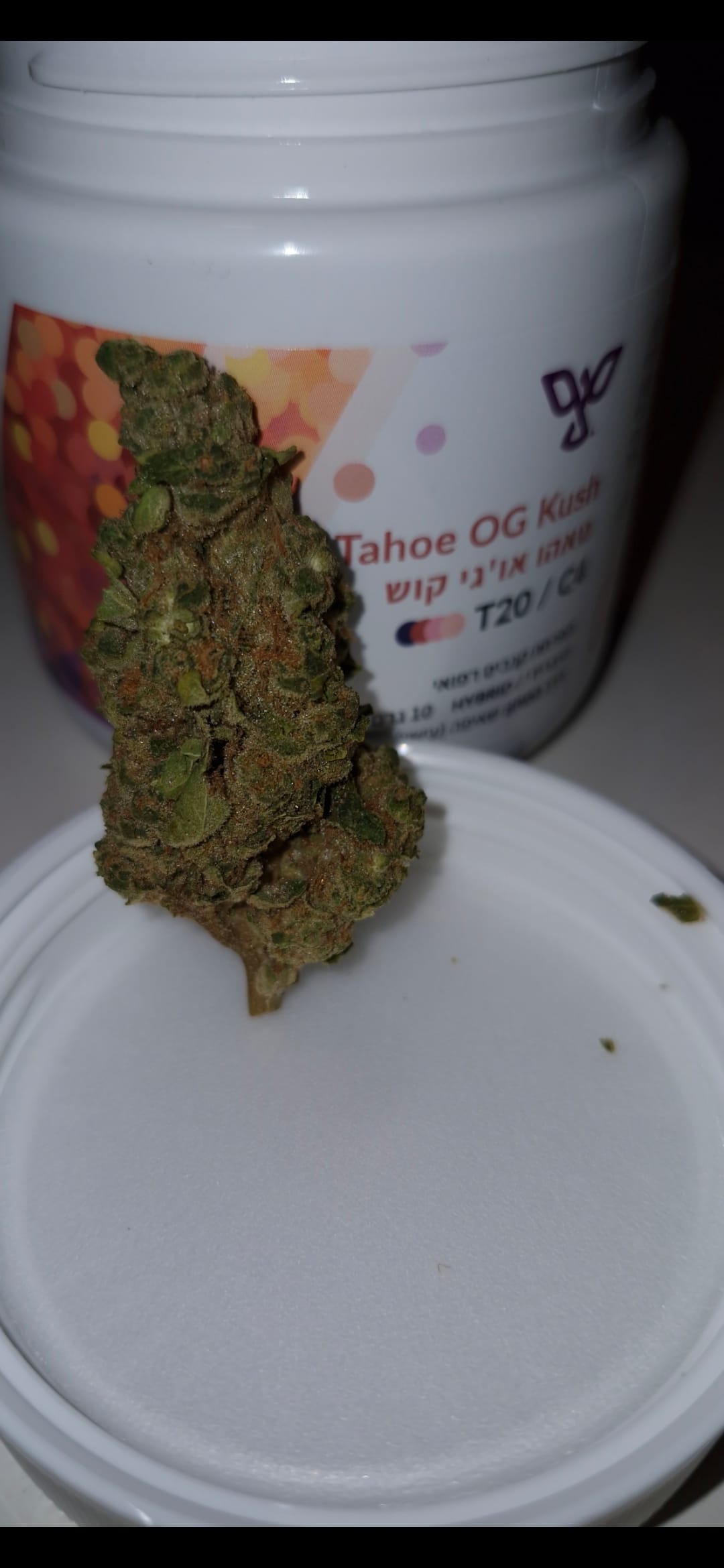 טאהו אוג'י קוש (Tahoe OG Kush) - היבריד T22/C4 – תמונה 6