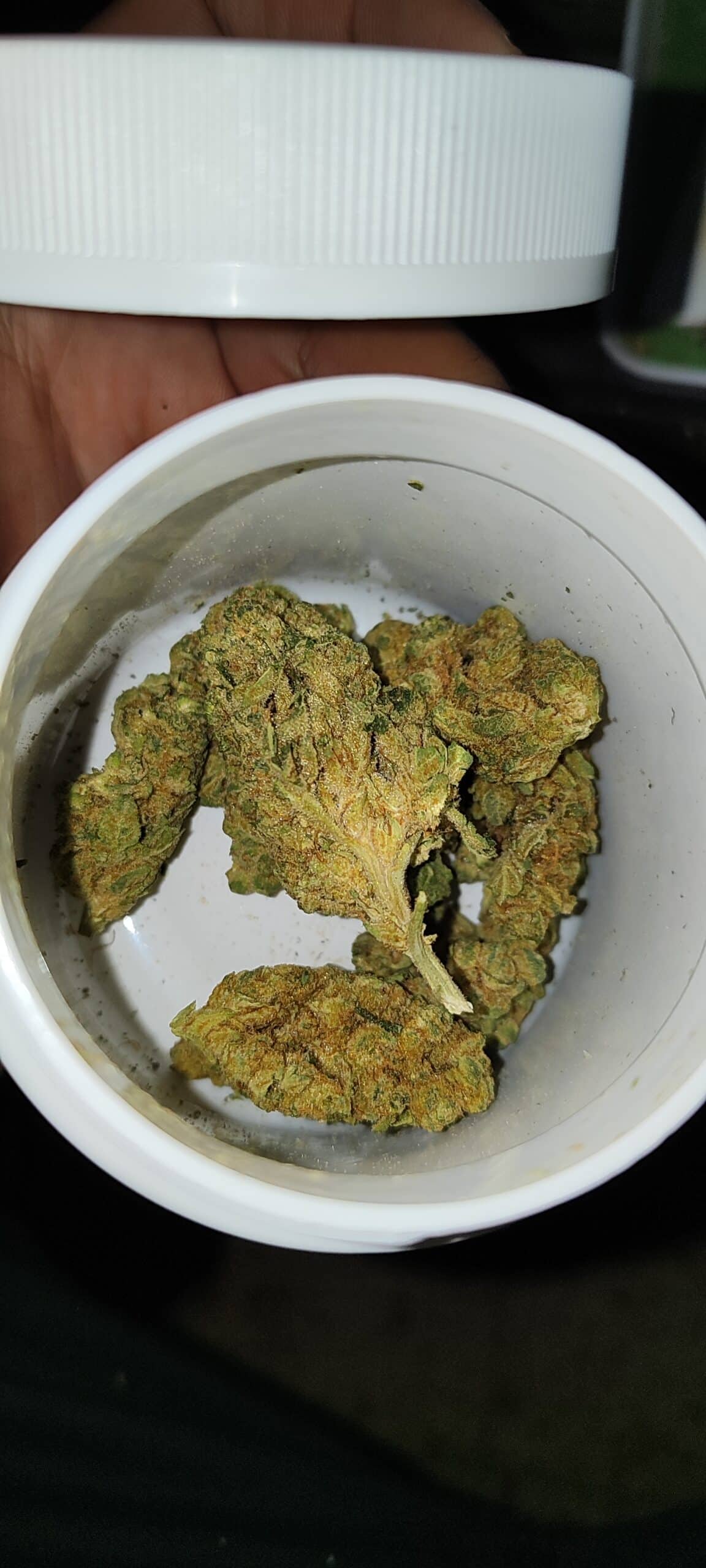 טאהו אוג'י קוש (Tahoe OG Kush) - היבריד T22/C4 – תמונה 4